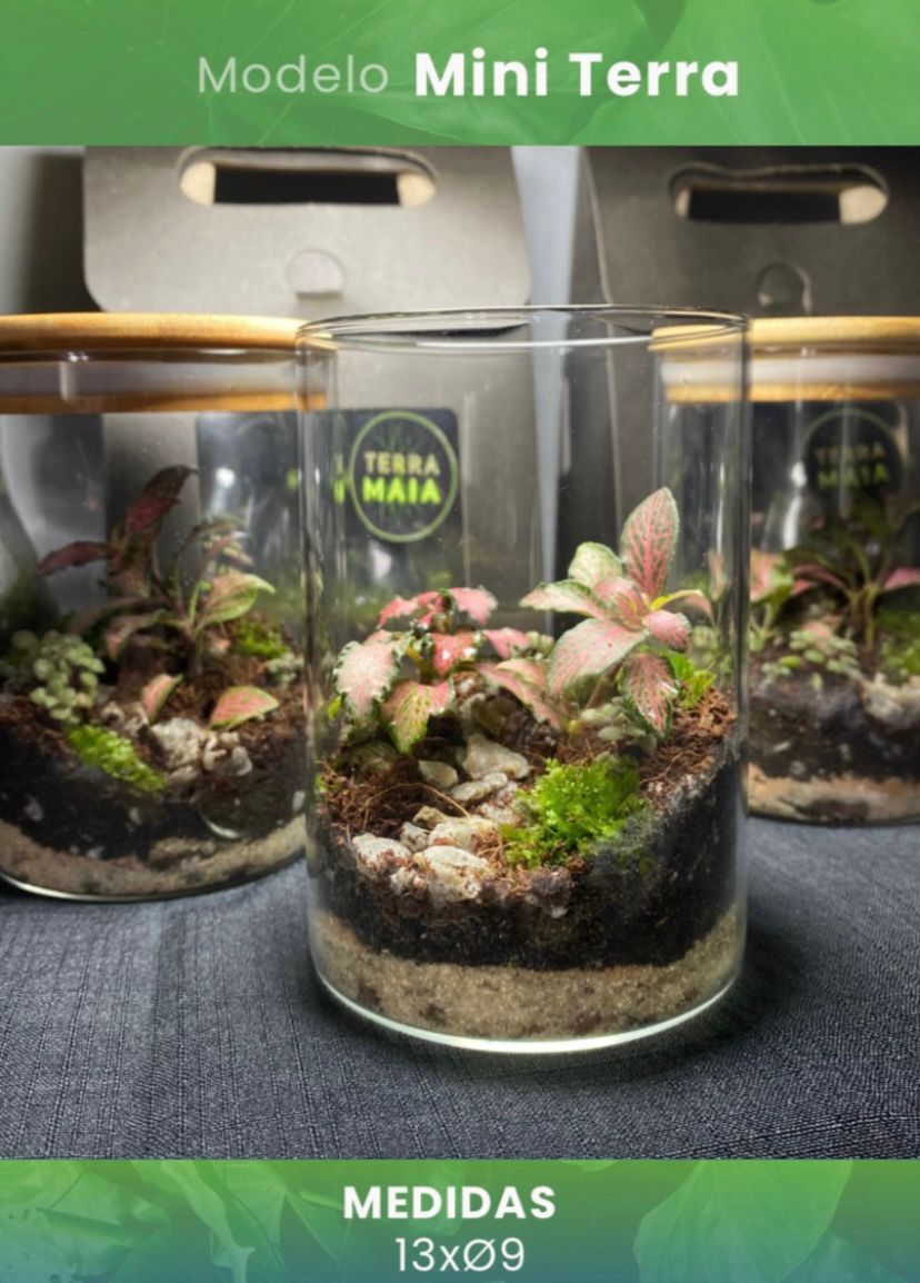 WhatsApp Image 2025-11-29 at 10.56.03 AM