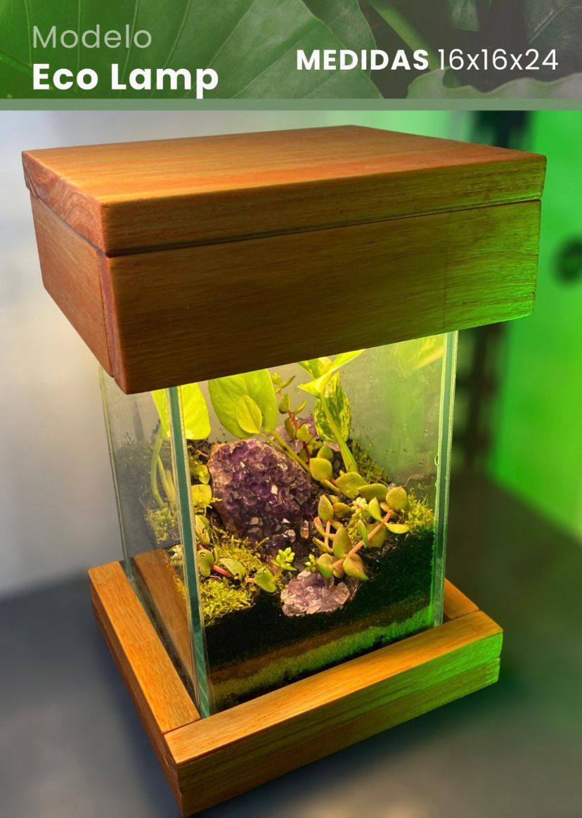 WhatsApp Image 2025-11-29 at 10.56.05 AM